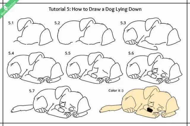 九种小狗的简笔划法详细教程，送给宅家的孩子